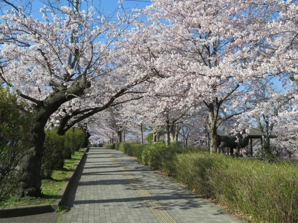 🌳 성산 공원(시로야마 코엔) 이미지 5